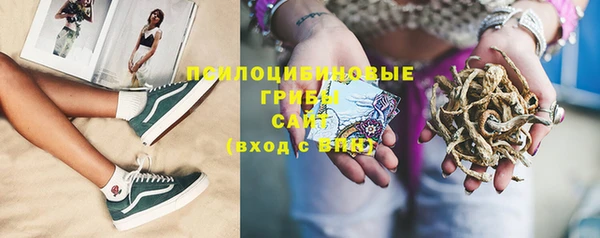 бутират Гусиноозёрск
